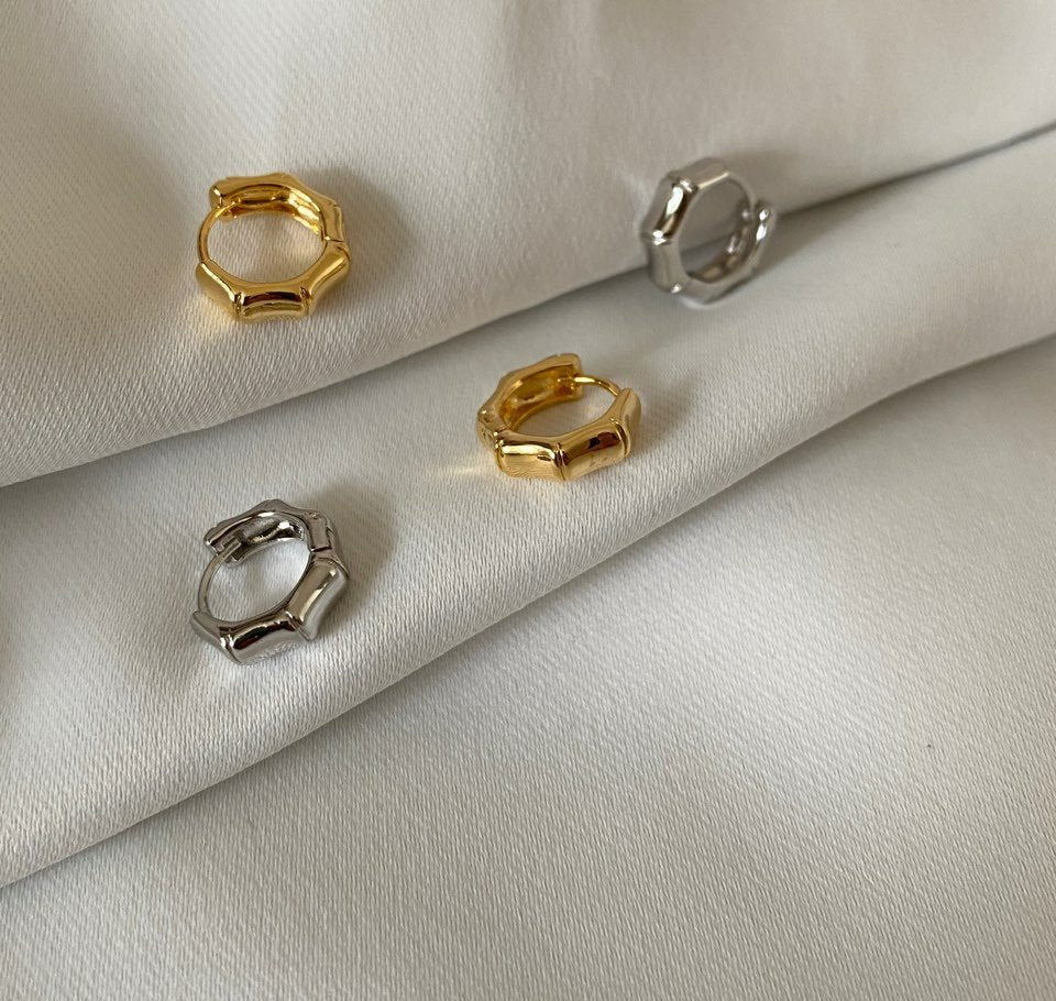 Carrie Earrings in Silver