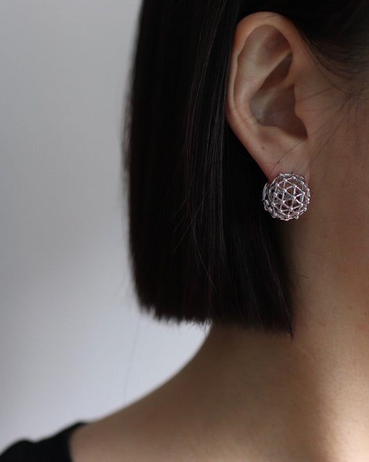 Clarke Earrings in Silver