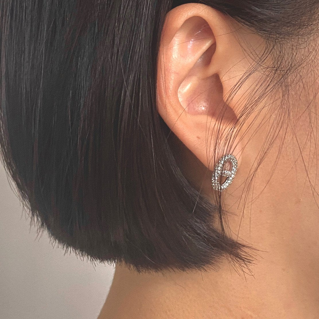 Jessie Diamante Earrings In Sliver