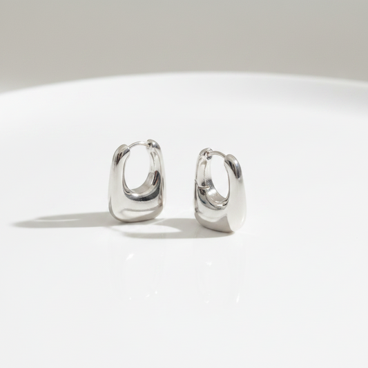 Caboo Earrings Silver