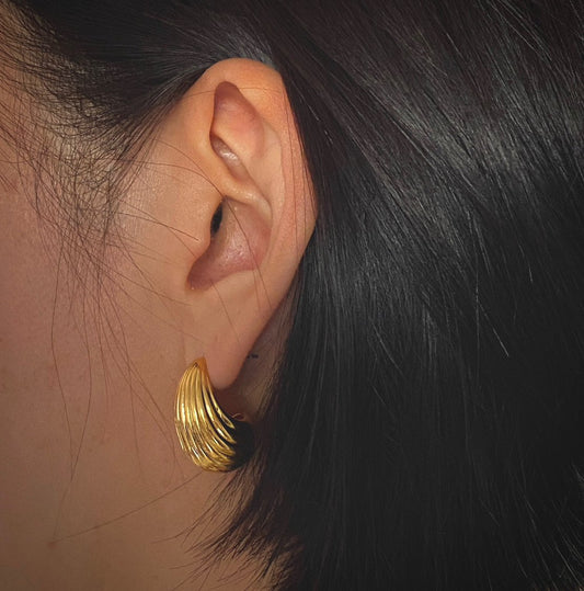 Merlo Earrings in silver