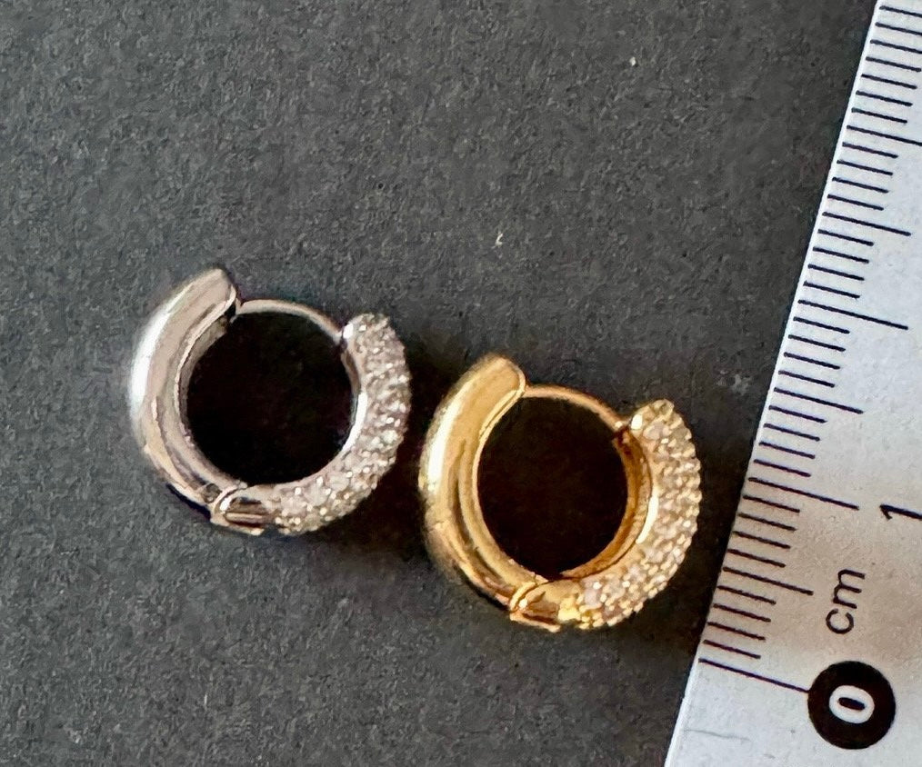 Prinsep earrings in Gold