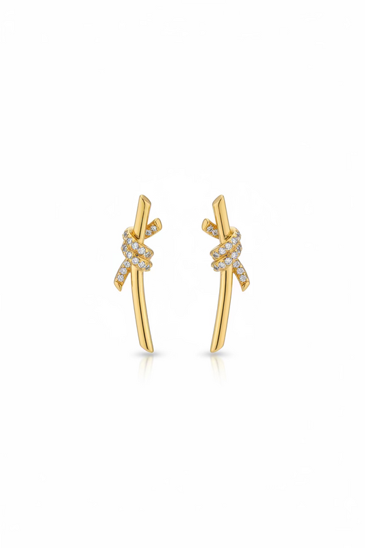 Santos earrings in silver