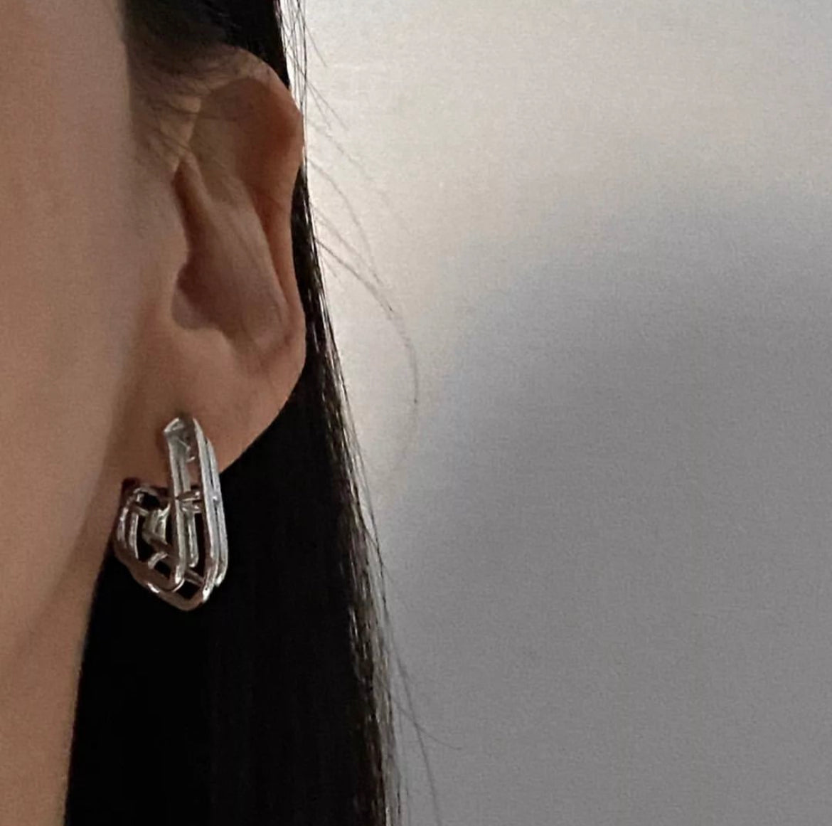 Alps Earrings in Silver