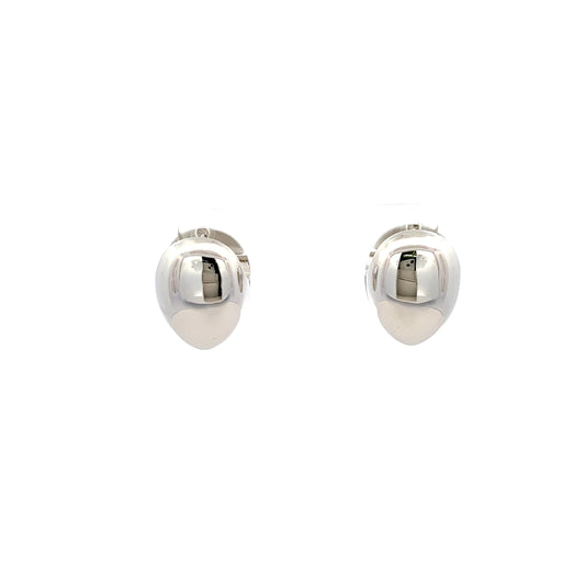 AM Earrings In Sliver