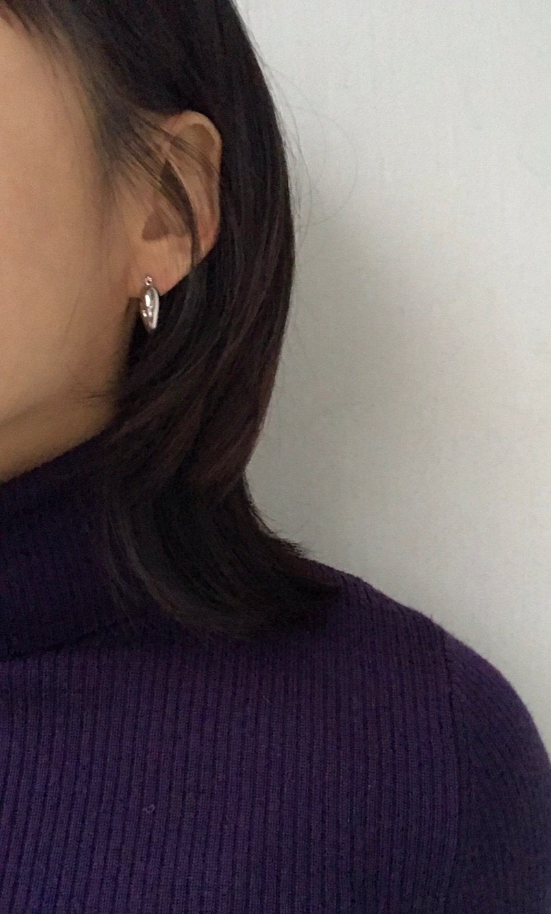 Maine Earrings in Silver