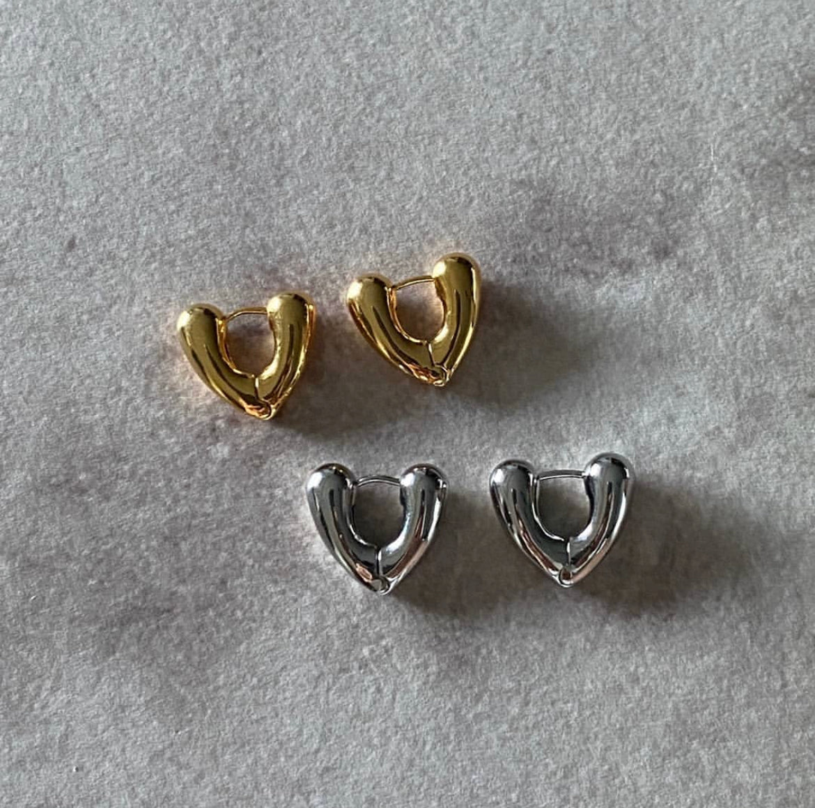 Ve Earrings in Silver