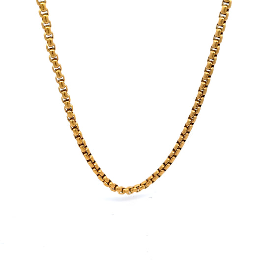 Python Chaine Necklace in Gold